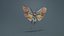 Penthicoides Farinosa Borneo Remastered