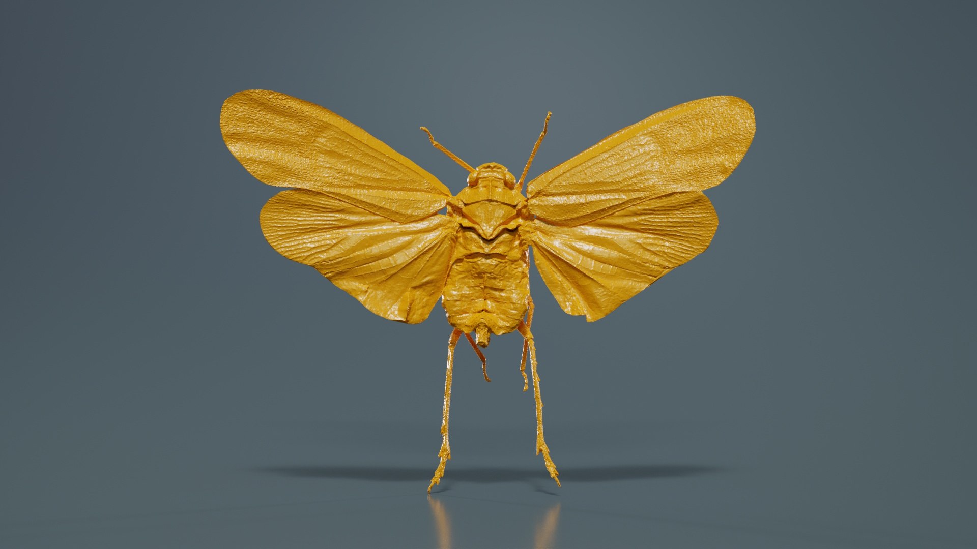 3D Penthicoides Farinosa Borneo Remastered model https://p.turbosquid.com/ts-thumb/HN/93qlom/Um/penthicoides_farinosa_borneo_12/jpg/1740081784/1920x1080/fit_q87/b19bddf3499ff7e42ae01f66cf4c3048166188a8/penthicoides_farinosa_borneo_12.jpg