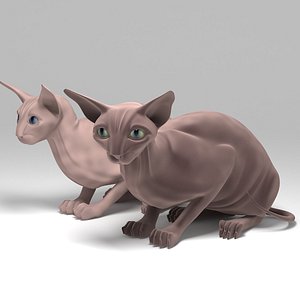 pedigree cats 3d model