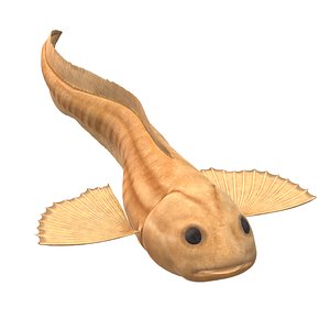 Mariana snailfish model
