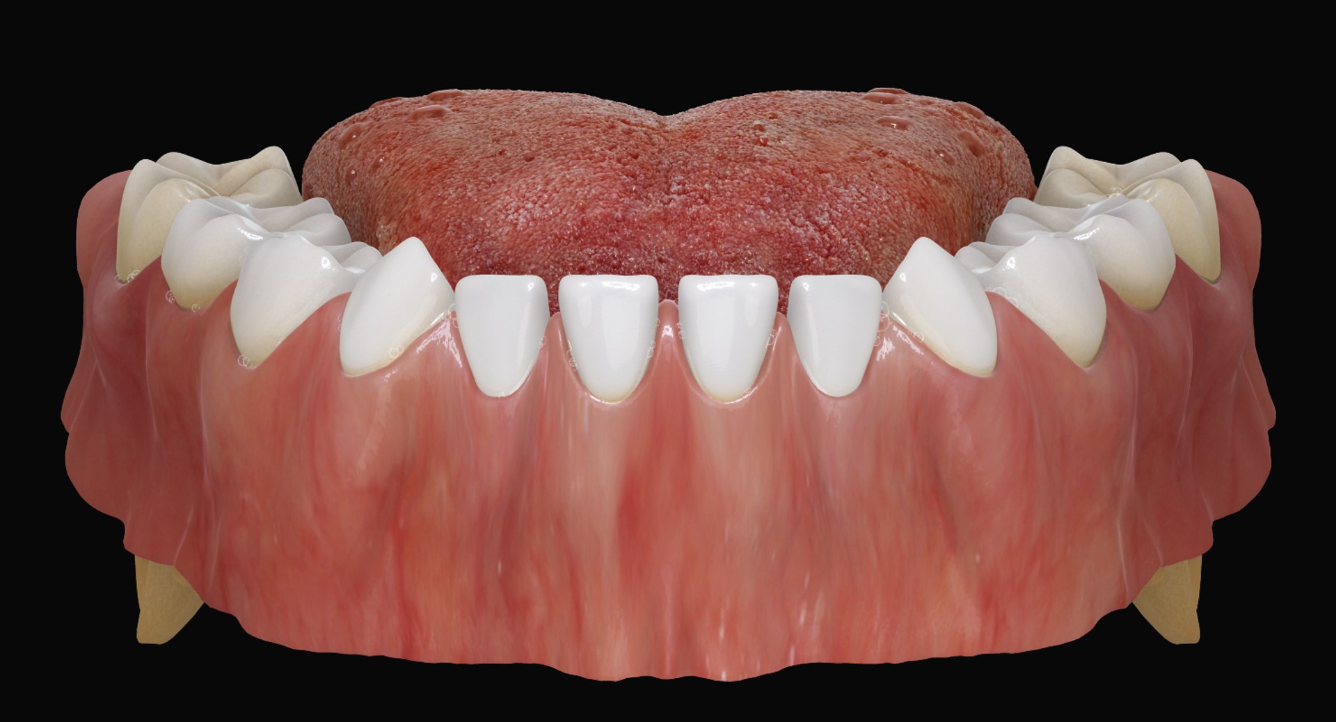 3ds max mixed dentition mouth tongue https://p.turbosquid.com/ts-thumb/HN/RP2eeW/6BtkuwET/mdg_06/jpg/1441278192/1920x1080/fit_q87/b93ee2e0e0319d6a1364b834f37bed7a3733a063/mdg_06.jpg