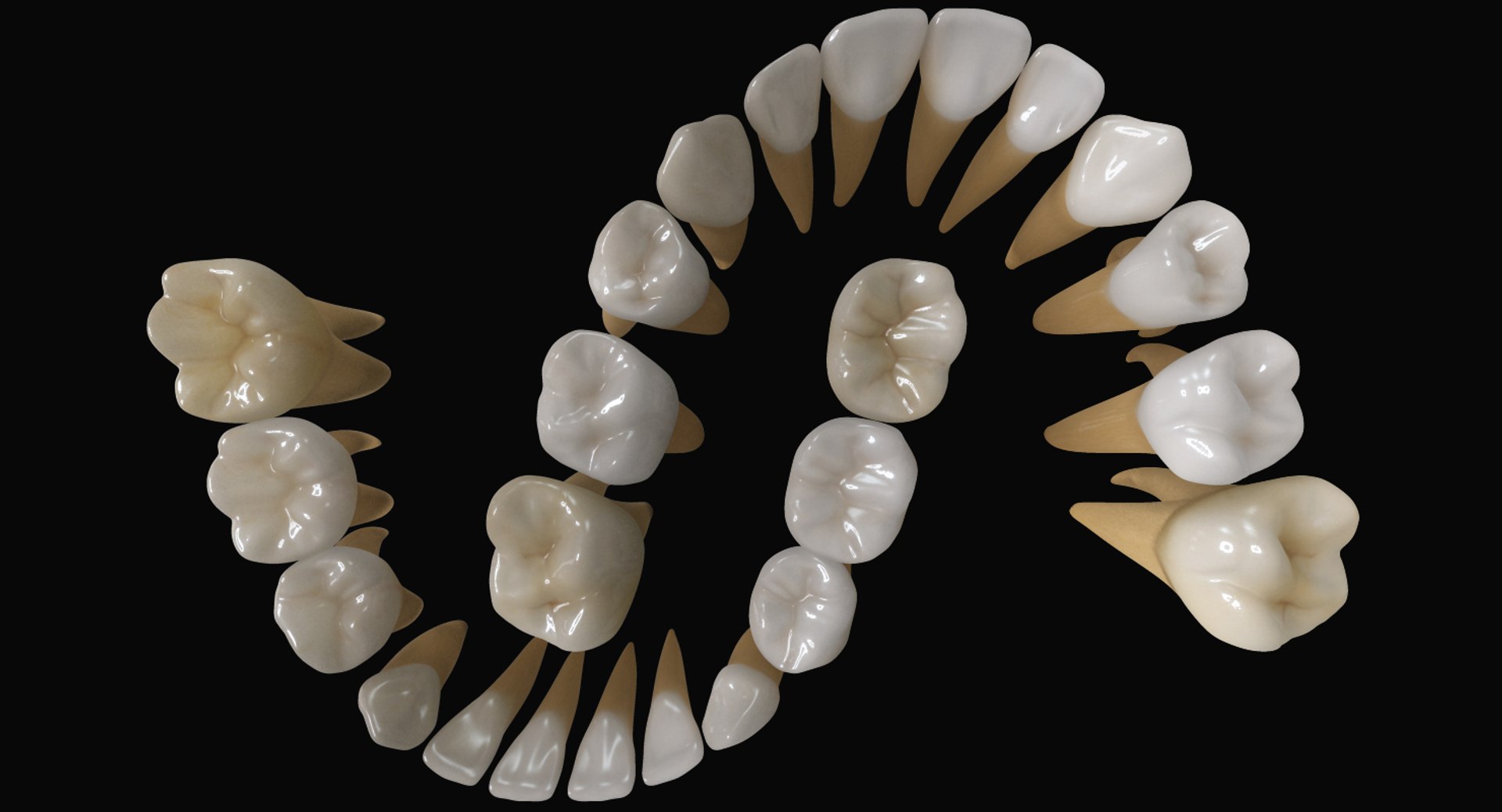 3ds max mixed dentition mouth tongue https://p.turbosquid.com/ts-thumb/HN/RP2eeW/6N5haVYX/mt_01/jpg/1441278192/1920x1080/fit_q87/f9710bfd963135f43915699ef8ccd62e0a5bfa0e/mt_01.jpg