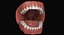 3ds max mixed dentition mouth tongue