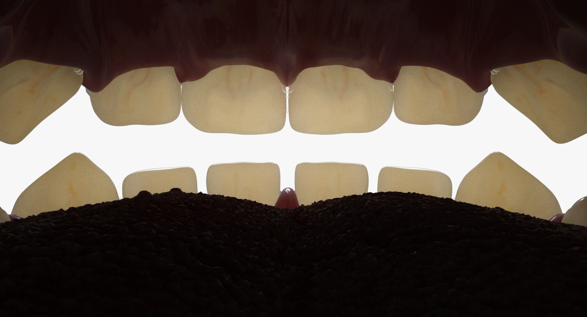 3ds max mixed dentition mouth tongue https://p.turbosquid.com/ts-thumb/HN/RP2eeW/8hSWaefy/mdg_inside/jpg/1441278192/1920x1080/fit_q87/6b0c91c443d6953aac2fa41c481fc295b2829356/mdg_inside.jpg