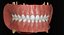 3ds max mixed dentition mouth tongue