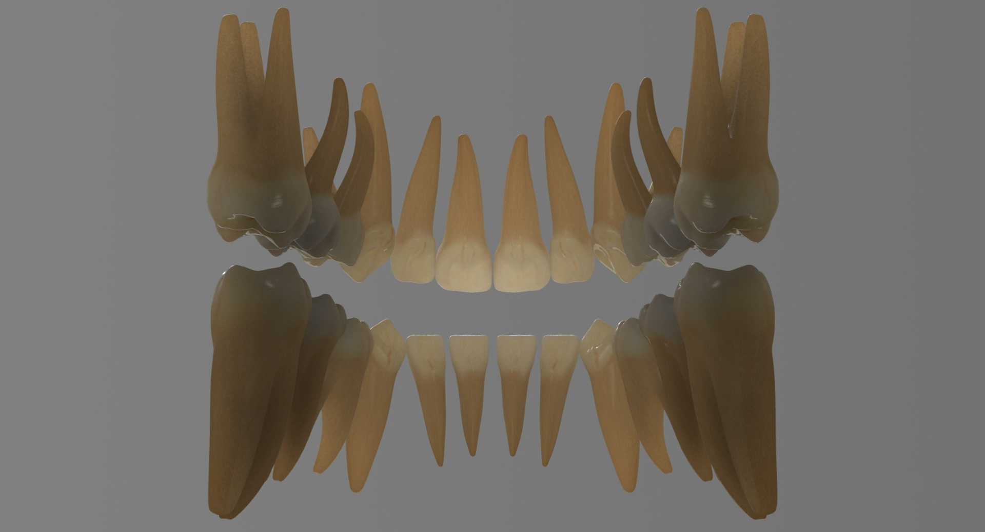 3ds max mixed dentition mouth tongue https://p.turbosquid.com/ts-thumb/HN/RP2eeW/Kuq7UqcD/mptlwb/jpg/1441278547/1920x1080/turn_fit_q99/95d14be3a0df61dc6ee8958e3f84860db795317e/mptlwb-1.jpg