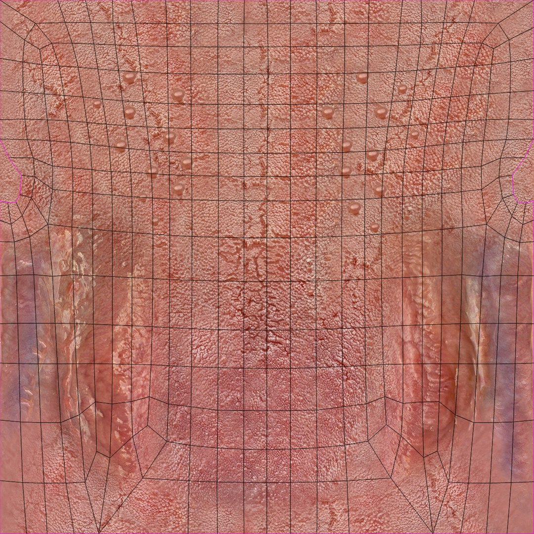 3ds max mixed dentition mouth tongue https://p.turbosquid.com/ts-thumb/HN/RP2eeW/QBnd6qSC/tongue_uvw/jpg/1441278192/1920x1080/fit_q87/88d9087683b6aae56a68c7ef52db96b4e701a29c/tongue_uvw.jpg