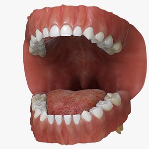 Mixed Dentition