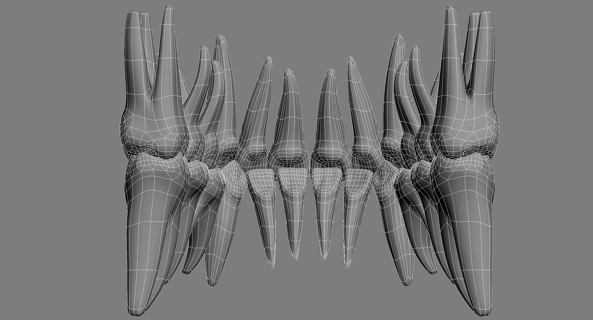 3ds max mixed dentition mouth tongue https://p.turbosquid.com/ts-thumb/HN/RP2eeW/SCRaIoIm/md_wire_08/jpg/1441278193/1920x1080/fit_q87/64bf6417b67d51ce130ee3d8c36bdaebdea1f778/md_wire_08.jpg