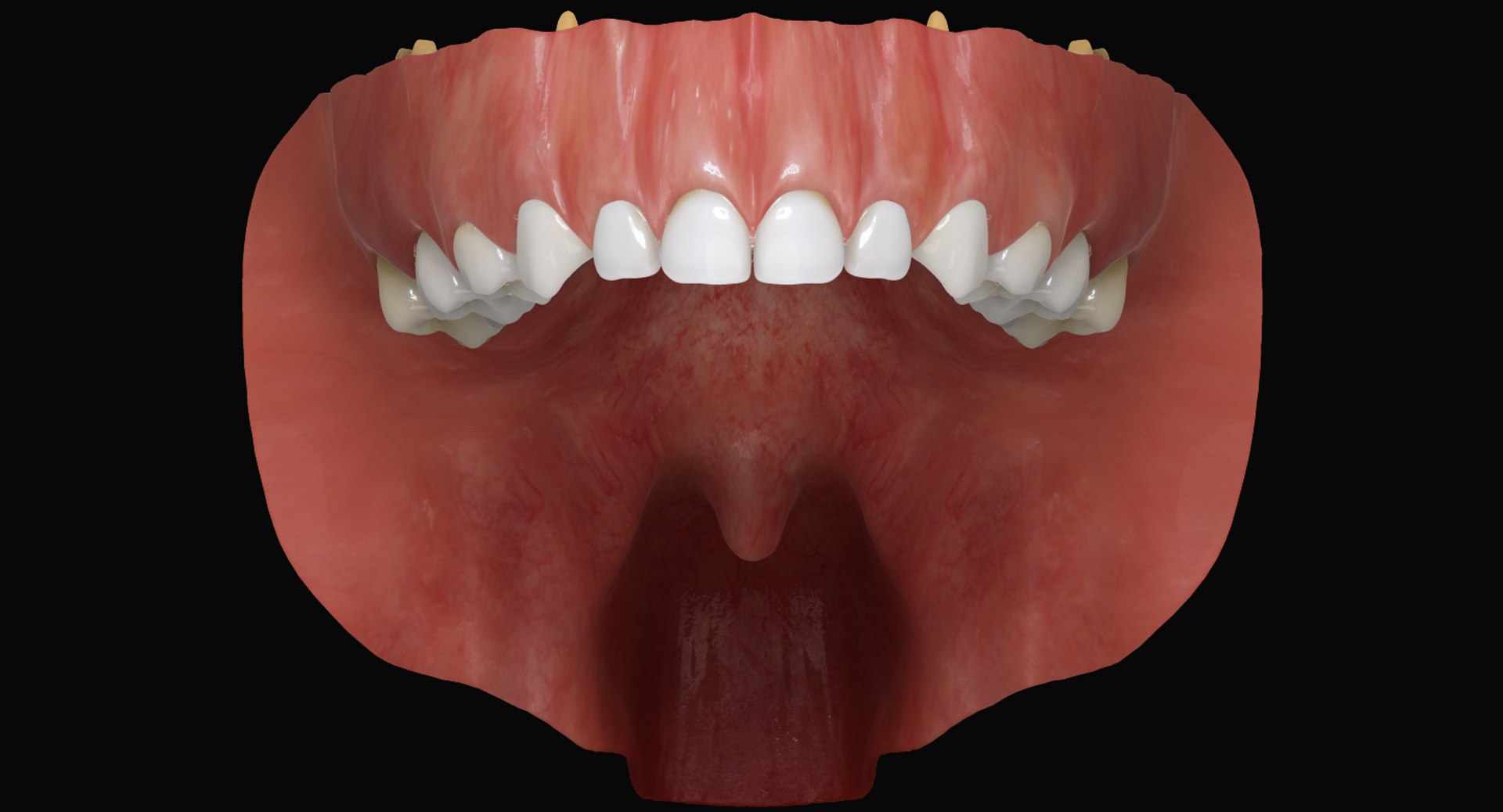 3ds max mixed dentition mouth tongue https://p.turbosquid.com/ts-thumb/HN/RP2eeW/aa1MSapX/mdg_02/jpg/1441278192/1920x1080/fit_q87/0d3931a8d4b726b9bbadaa9e69ffae7ca898f1c7/mdg_02.jpg