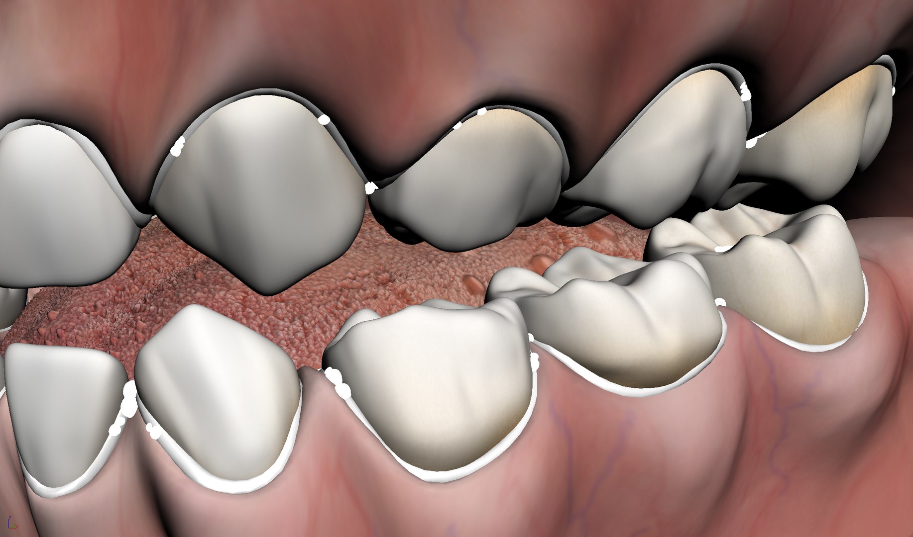 3ds max mixed dentition mouth tongue https://p.turbosquid.com/ts-thumb/HN/RP2eeW/m3bbvEhT/mdg_arop/jpg/1441278192/1920x1080/fit_q87/4ffced7f73e6f91aff6121b7ddf44ee3165b06fb/mdg_arop.jpg