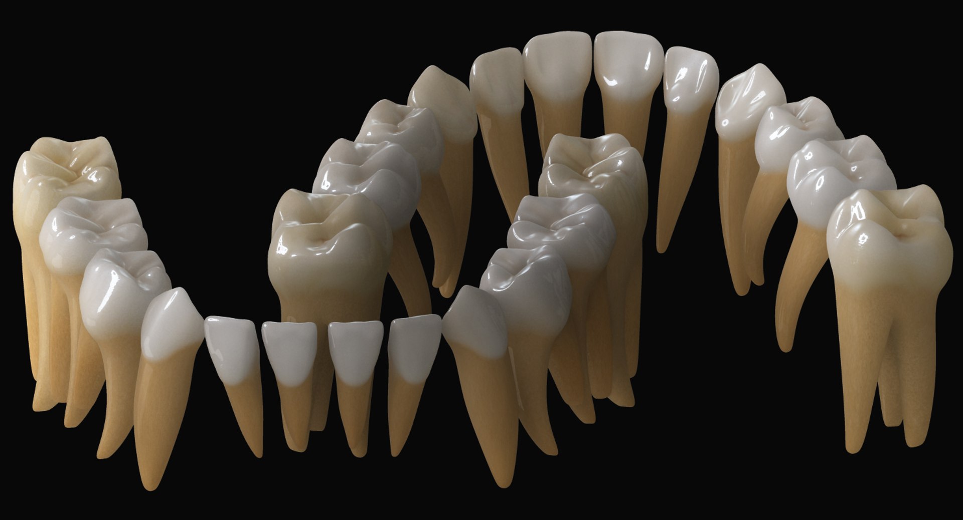 3ds max mixed dentition mouth tongue https://p.turbosquid.com/ts-thumb/HN/RP2eeW/oN7dRNks/mt_02/jpg/1441278192/1920x1080/fit_q87/a37f2b1ebef3ca880e79b3e1d987f06ccec2ddff/mt_02.jpg