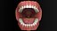3ds max mixed dentition mouth tongue
