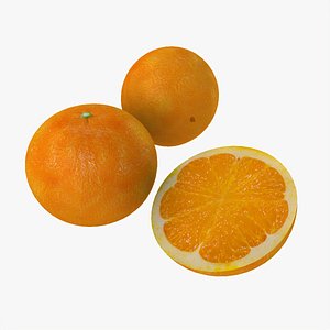 fruits model