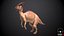 Parasaurolophus Game gotowy