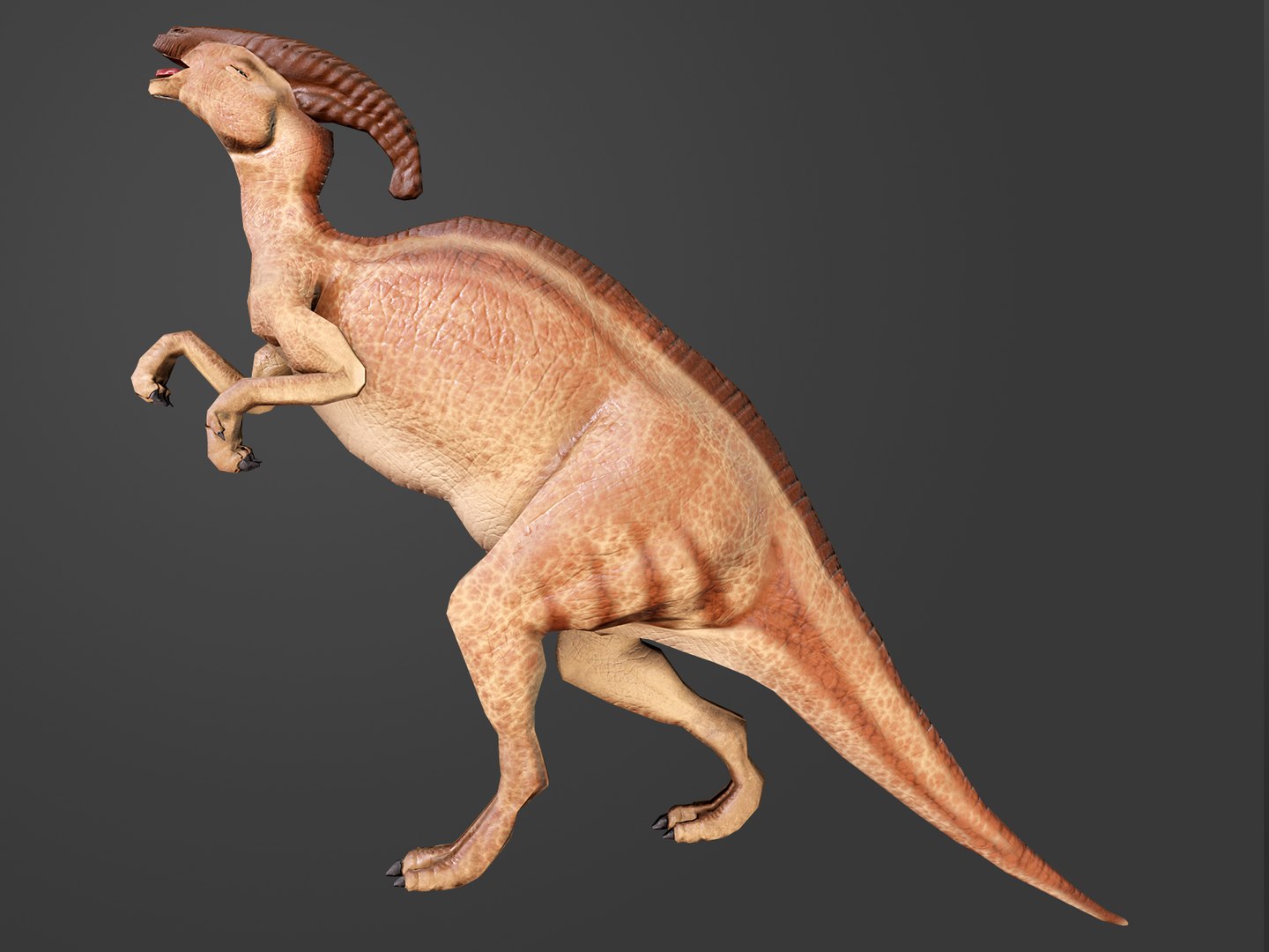 ready parasaurolophus 3D model https://p.turbosquid.com/ts-thumb/HN/eavb6O/iZ7Ydfu6/eev03/jpg/1594568969/1920x1080/fit_q87/2d3aa220752b95115648ffb891c7441ffc3d6c3e/eev03.jpg