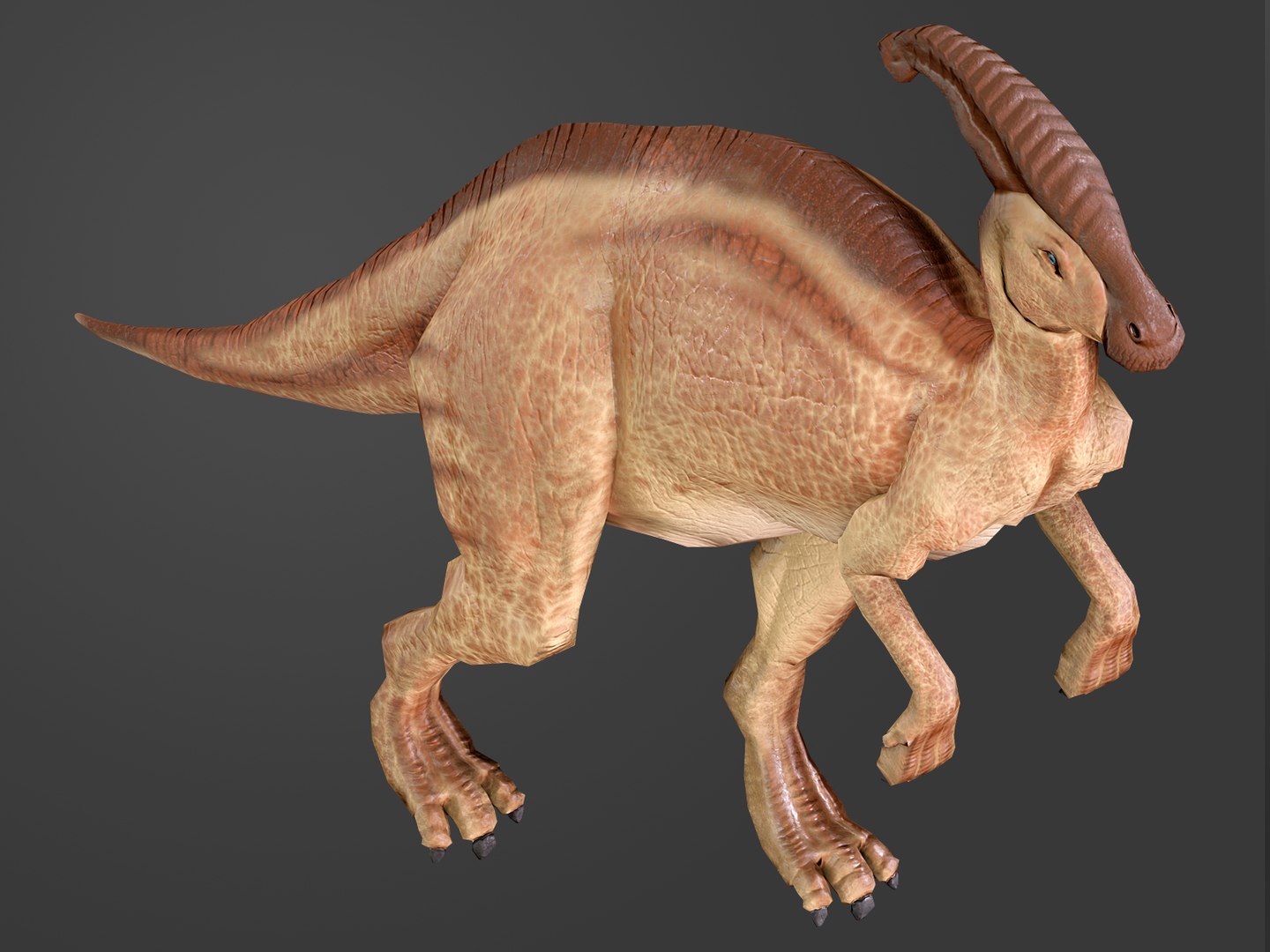 ready parasaurolophus 3D model https://p.turbosquid.com/ts-thumb/HN/eavb6O/sf4R5biI/eev08/jpg/1594569045/1920x1080/fit_q87/ecd9885a8a4e78ffd0adf5203769902b77425a7d/eev08.jpg
