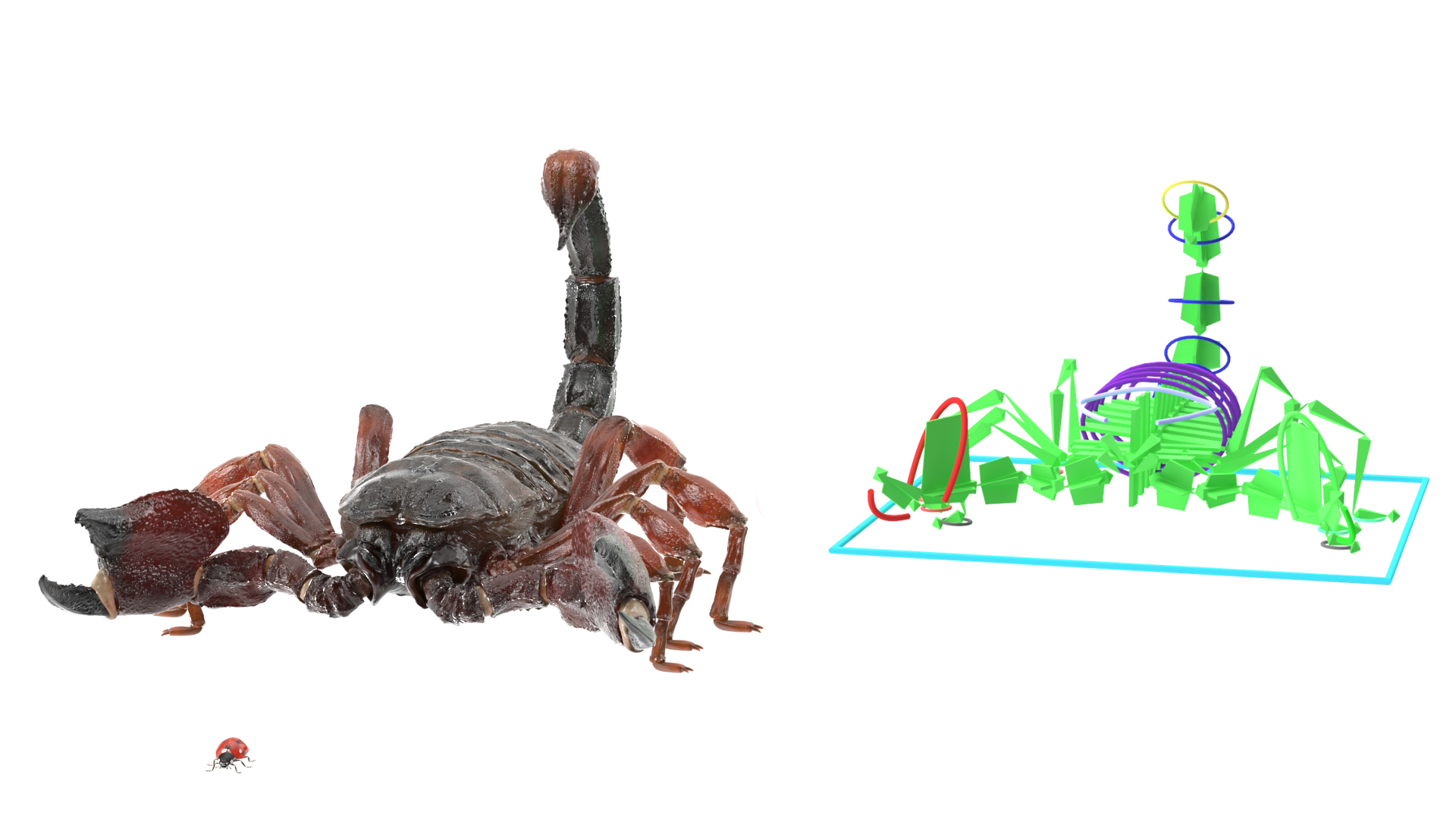 Hunting Scorpion Animated Rigged 3D Model - TurboSquid 2407539