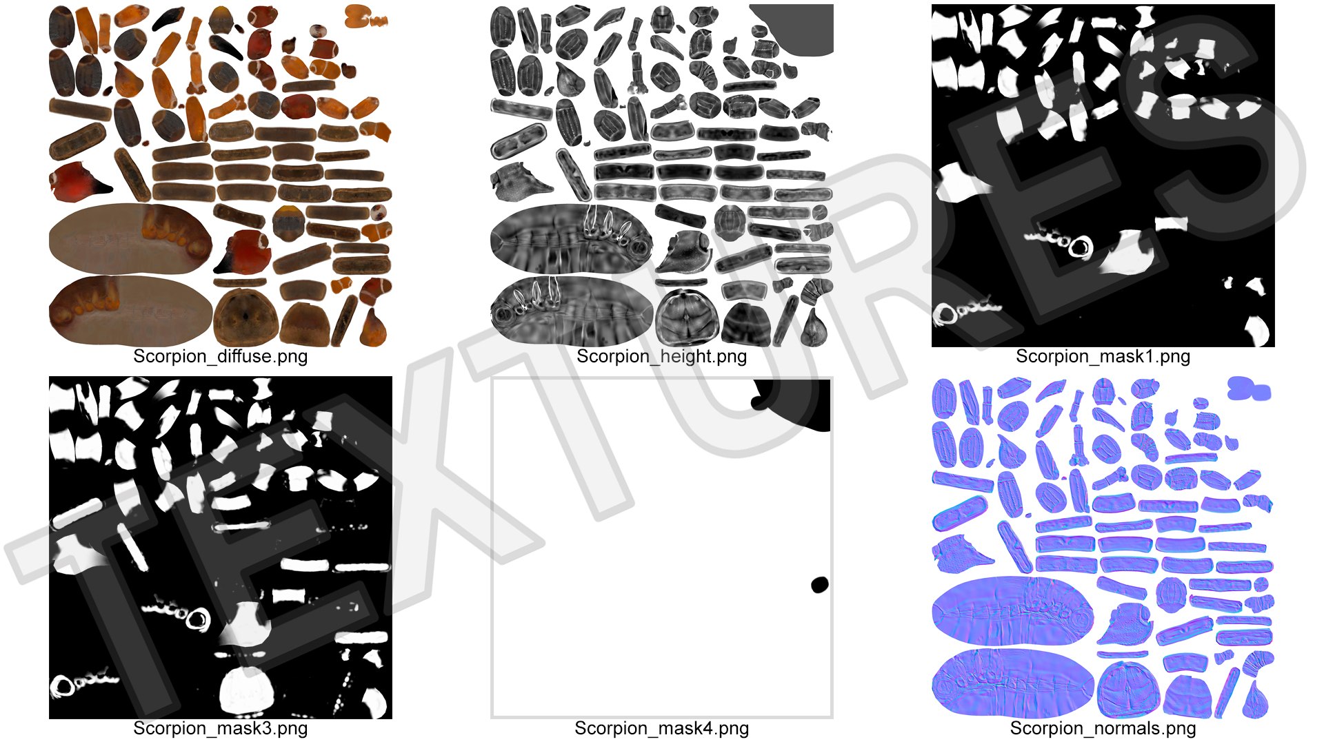 Hunting Scorpion Animated Rigged 3D Model - TurboSquid 2407539