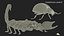 Hunting Scorpion  Animated Rigged 3D model