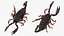 Hunting Scorpion  Animated Rigged 3D model
