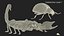 Hunting Scorpion  Animated Rigged 3D model