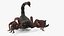 Hunting Scorpion  Animated Rigged 3D model