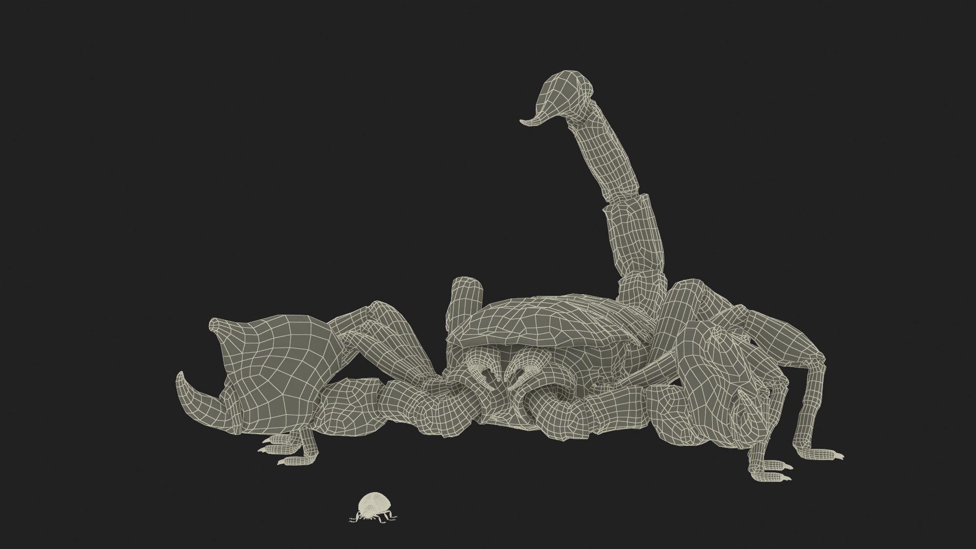 Hunting Scorpion Animated Rigged 3D Model - TurboSquid 2407539