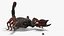 Hunting Scorpion  Animated Rigged 3D model