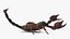 Hunting Scorpion  Animated Rigged 3D model