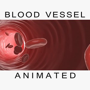 blood cells vessel animations 3d model