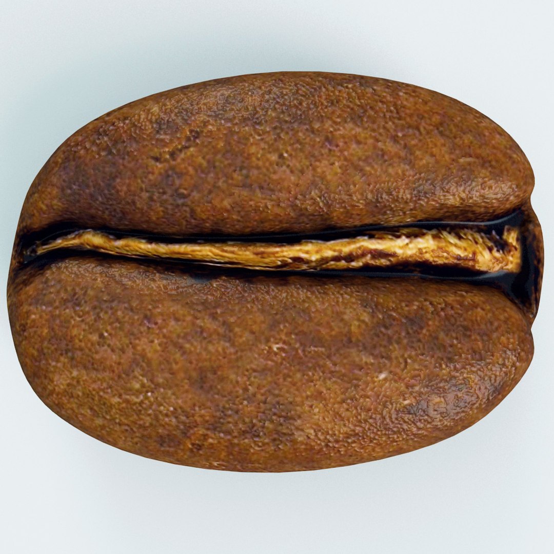 3d model coffee v2 https://p.turbosquid.com/ts-thumb/HO/FMFj9Q/PRe4uvl2/coffee_collection_v2_83/jpg/1311084677/1920x1080/fit_q87/0f88af750382d3e9fdf0e21b40496241965e218e/coffee_collection_v2_83.jpg