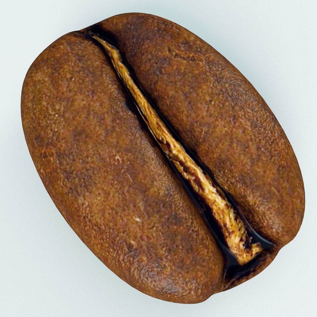 3d model coffee v2 https://p.turbosquid.com/ts-thumb/HO/FMFj9Q/Y3N7sOkQ/coffee_collection_v2_82/jpg/1311084677/1920x1080/fit_q87/d61175ca55c57c9abe89d974ac352d857e7de02b/coffee_collection_v2_82.jpg