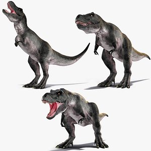 3D Rigged T Rex Roaring Animated Collection for Cinema 4D model
