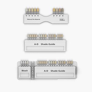 Dental Porcelain Teeth Shade Guide 3D model