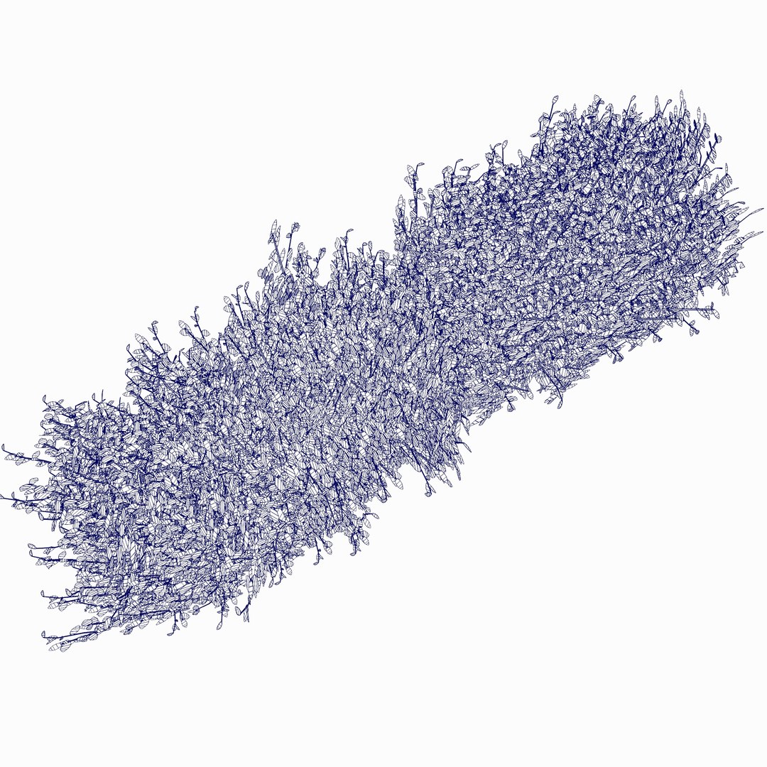 Garden Hedge 3D Model - TurboSquid 2348865
