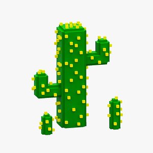 3D Voxel Cactus