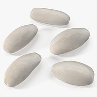 Raw Rice Grains