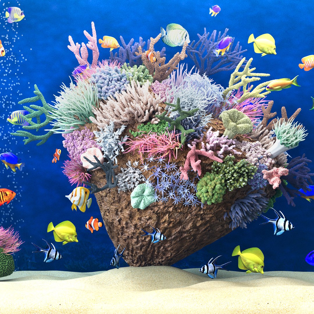 3D Marine Aquarium 2 model https://p.turbosquid.com/ts-thumb/HO/xk3Bey/2i/render_5/jpg/1745836938/1920x1080/fit_q87/9134ef5d339149c3feb05e60908ef0ecd1a8f84b/render_5.jpg
