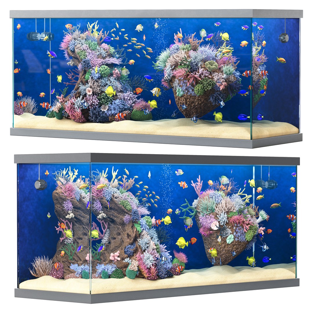 3D Marine Aquarium 2 model https://p.turbosquid.com/ts-thumb/HO/xk3Bey/4v/render_2/jpg/1745835217/1920x1080/fit_q87/5c214a8b795a208b1ea857fe020f52150e478539/render_2.jpg
