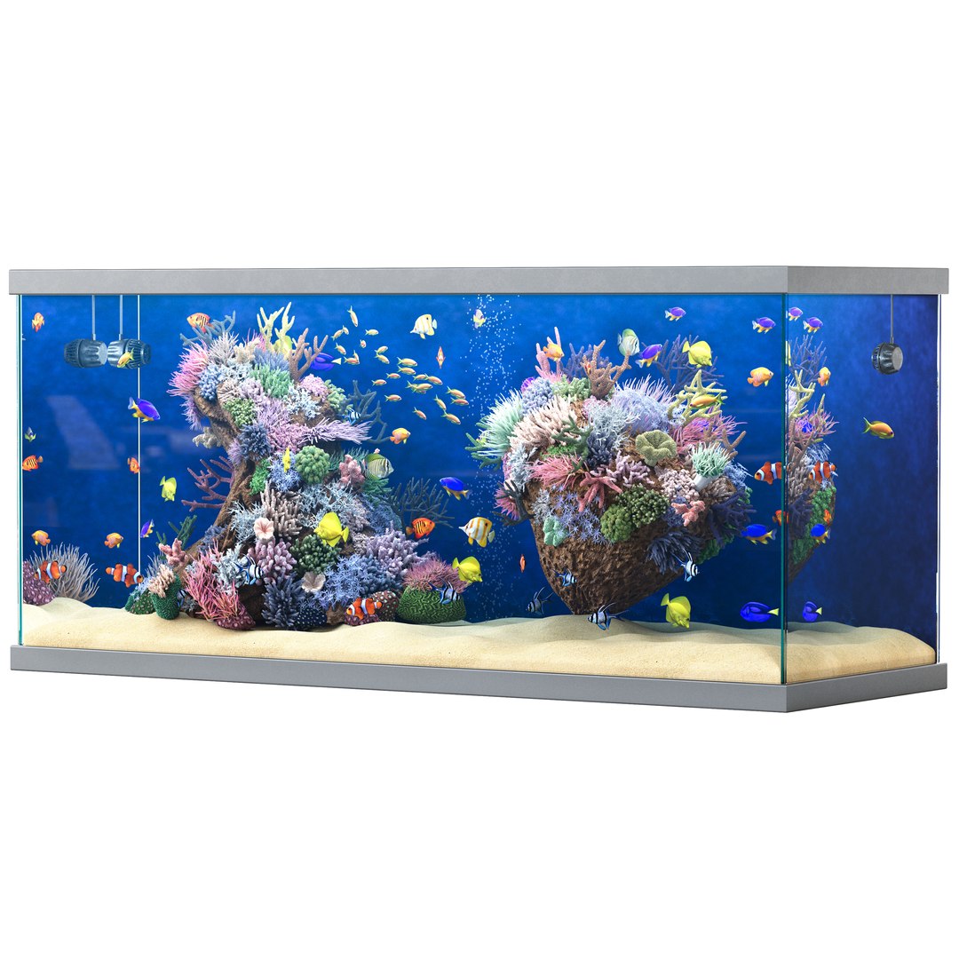 3D Marine Aquarium 2 model https://p.turbosquid.com/ts-thumb/HO/xk3Bey/8z/render_11/jpg/1745837071/1920x1080/fit_q87/bbfd78a2c924e827010d137454cd95d15c078242/render_11.jpg