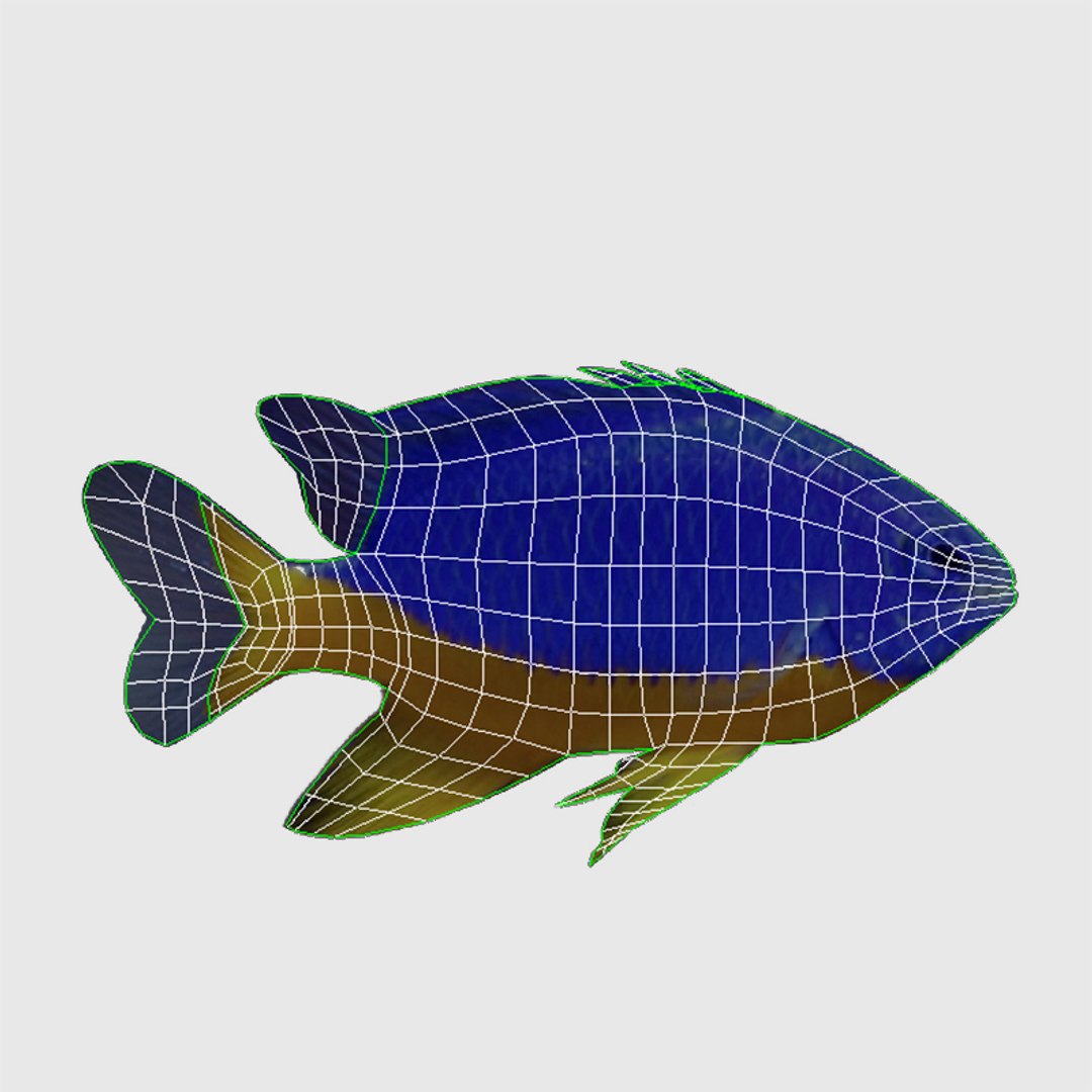 3D Marine Aquarium 2 model https://p.turbosquid.com/ts-thumb/HO/xk3Bey/E3/preview_2/jpg/1745837611/1920x1080/fit_q87/591dd8730af22093ae650ac279b64d128bd4214a/preview_2.jpg