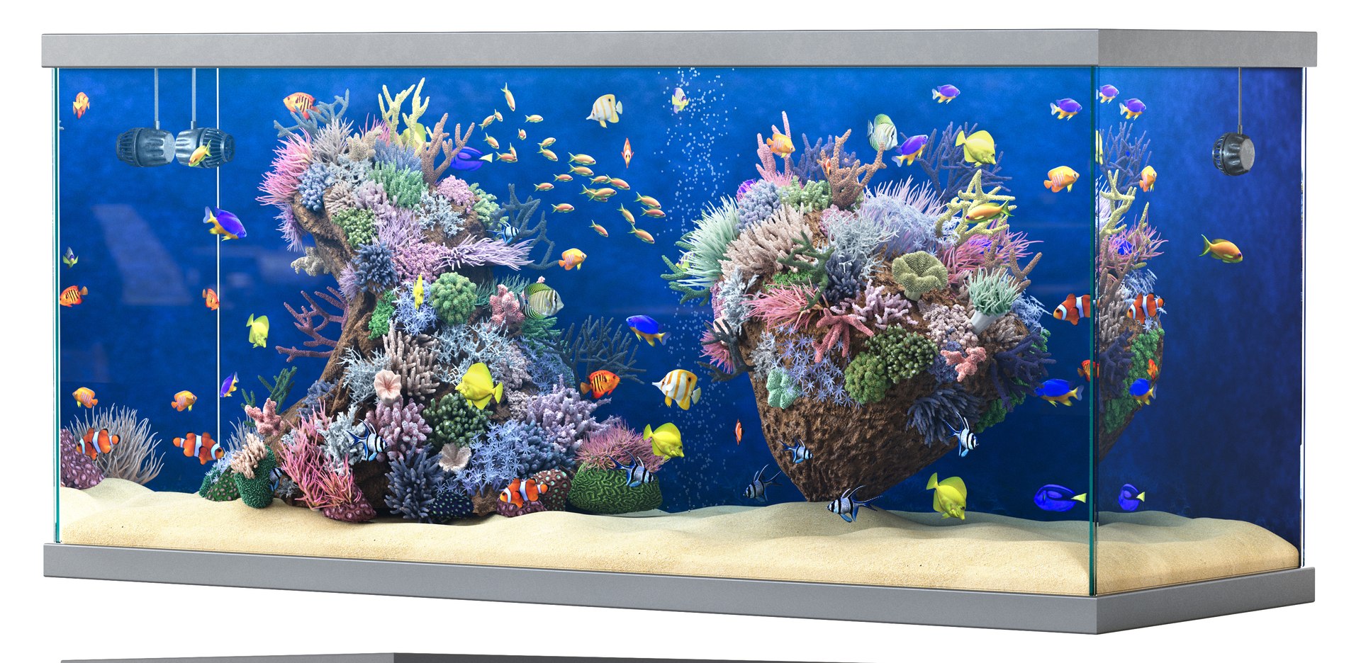 3D Marine Aquarium 2 model https://p.turbosquid.com/ts-thumb/HO/xk3Bey/b1/aquarium_2/jpg/1745835005/1920x1080/fit_q87/17afcff9885eaac50b20f110d18c414819be8a2c/aquarium_2.jpg