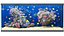 Marine Aquarium 2