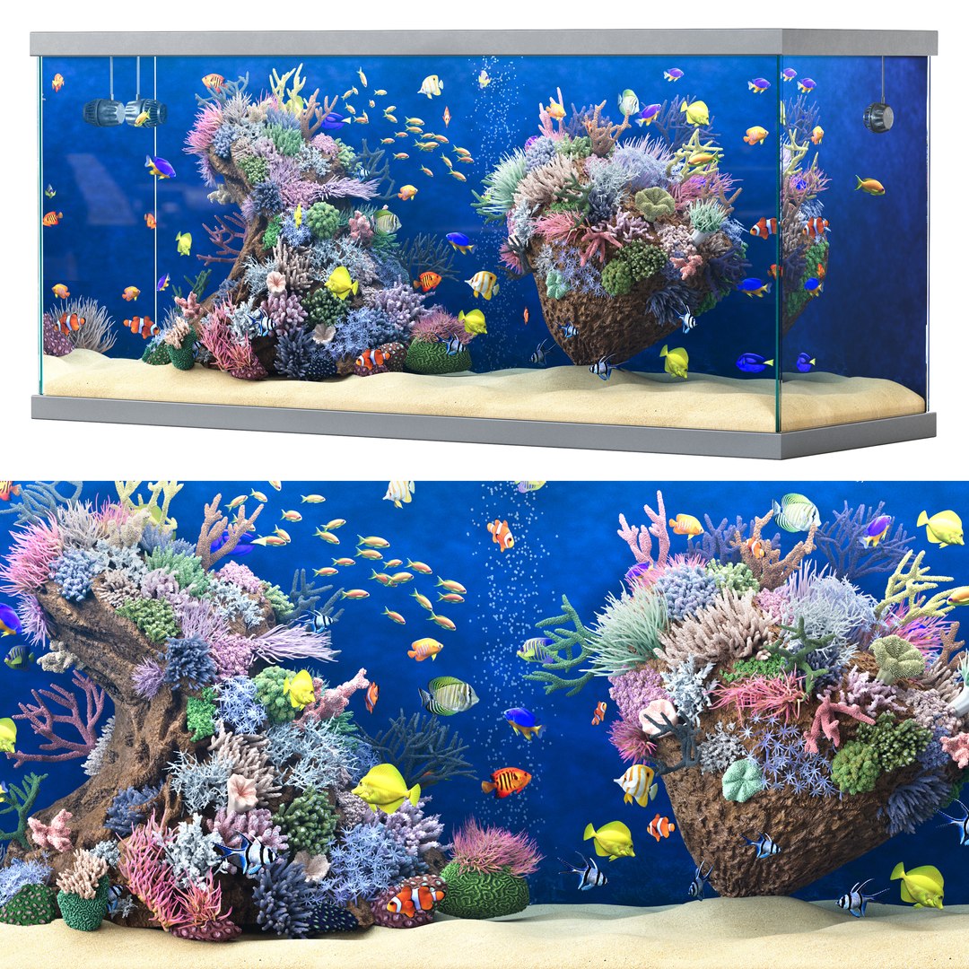 3D Marine Aquarium 2 model https://p.turbosquid.com/ts-thumb/HO/xk3Bey/qX/render_3/jpg/1745836930/1920x1080/fit_q87/74aea81cbcaf4176f92cdc31b1f869c0da22aa10/render_3.jpg