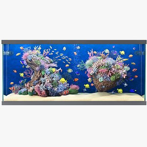 3D Marine Aquarium 2 model