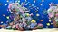 Marine Aquarium 2