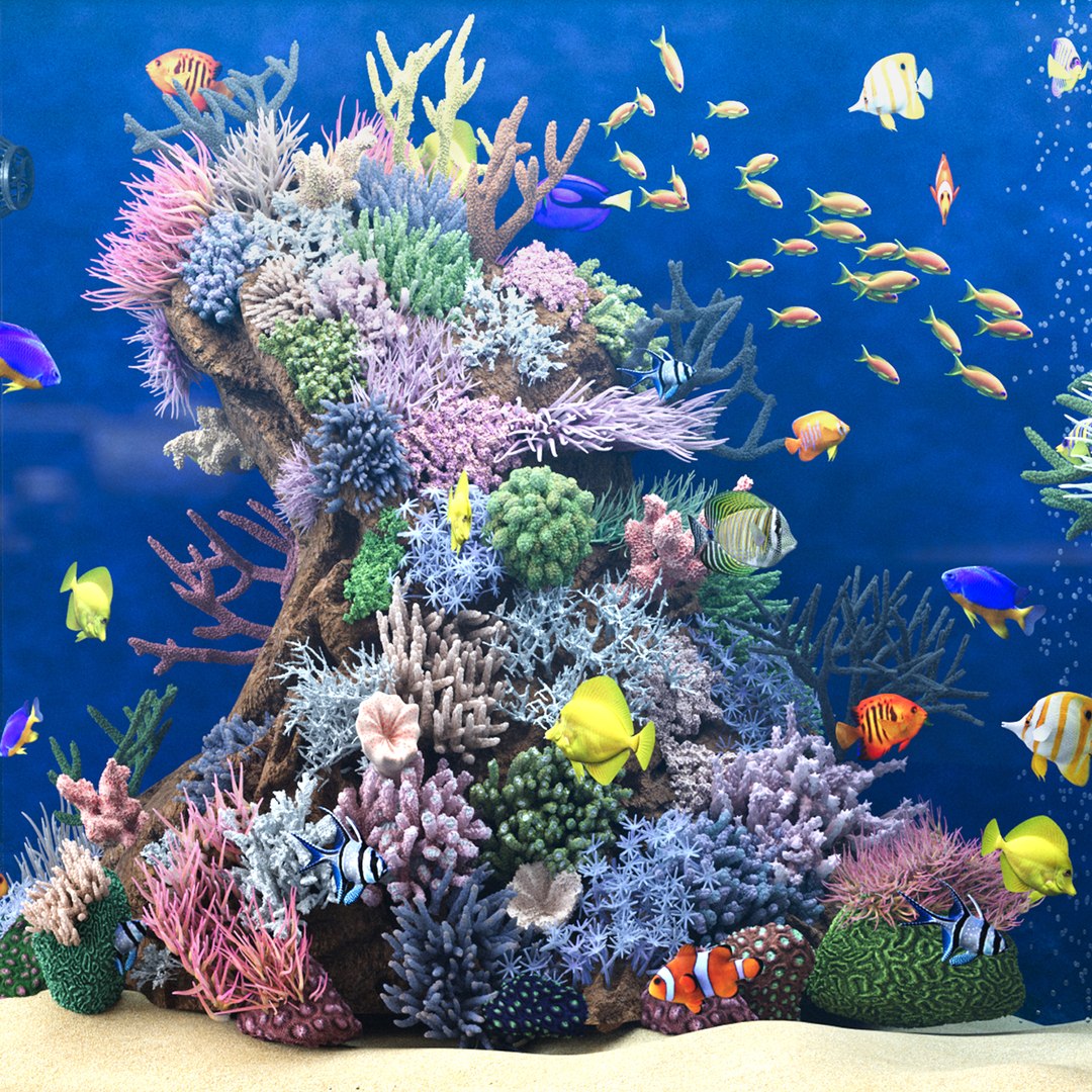 3D Marine Aquarium 2 model https://p.turbosquid.com/ts-thumb/HO/xk3Bey/vo/render_4/jpg/1745836935/1920x1080/fit_q87/ac1a6a4991feaf2b8005a9c50ecdf95fef387408/render_4.jpg