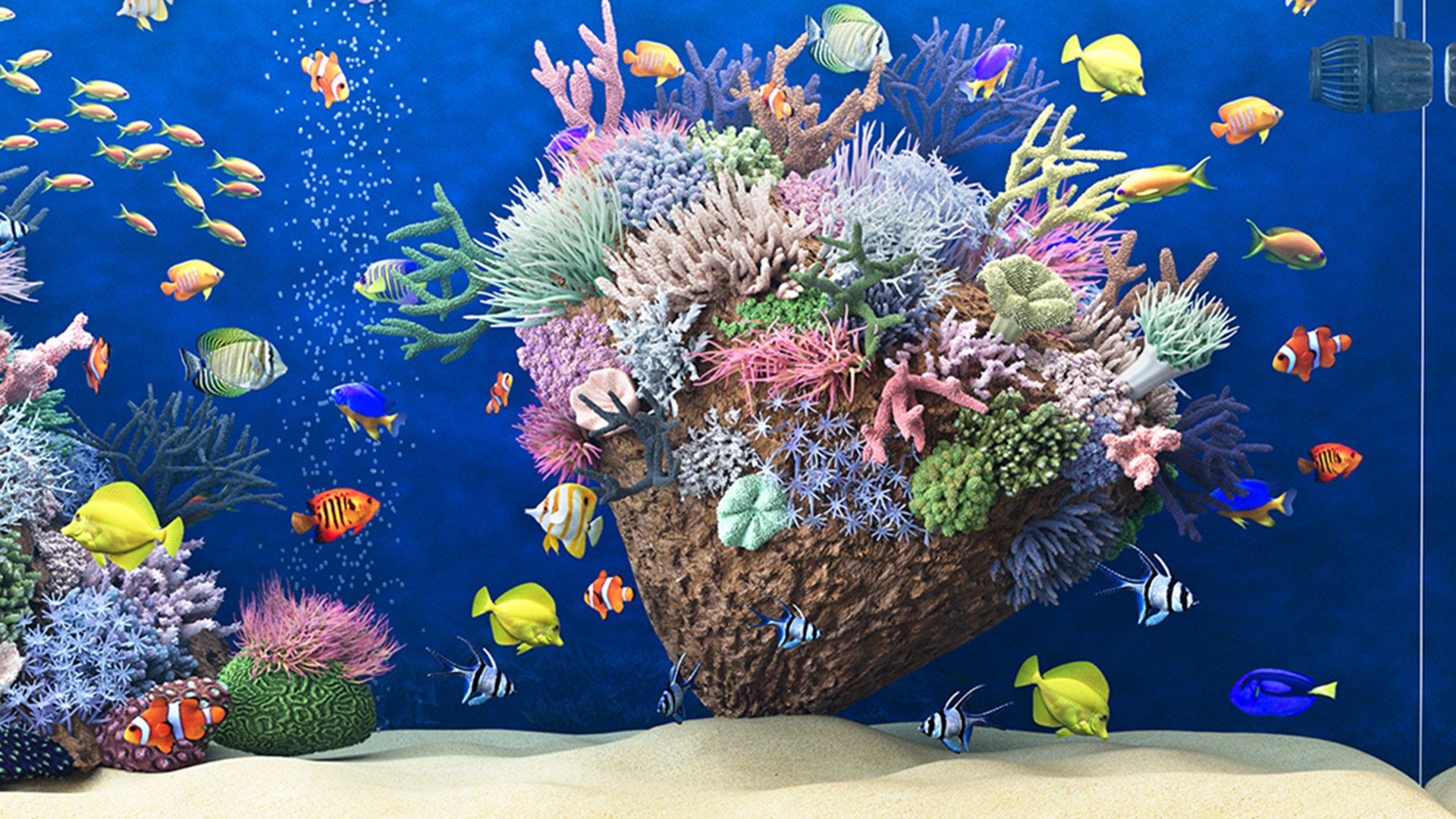 3D Marine Aquarium 2 model https://p.turbosquid.com/ts-thumb/HO/xk3Bey/yJ/aquarium_5/jpg/1745835340/1920x1080/fit_q87/52710e72eaaa34fb659ad9227ec24522d20972fd/aquarium_5.jpg