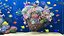 Marine Aquarium 2